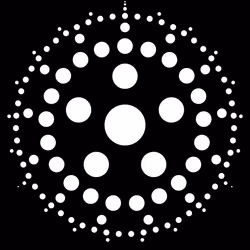 50000039