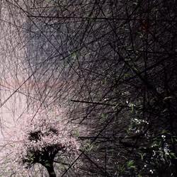 conversation with the wind #729