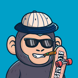 Chimp #359