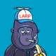 Gorilla #293
