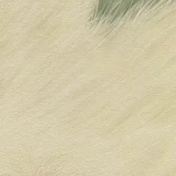Background: Fall