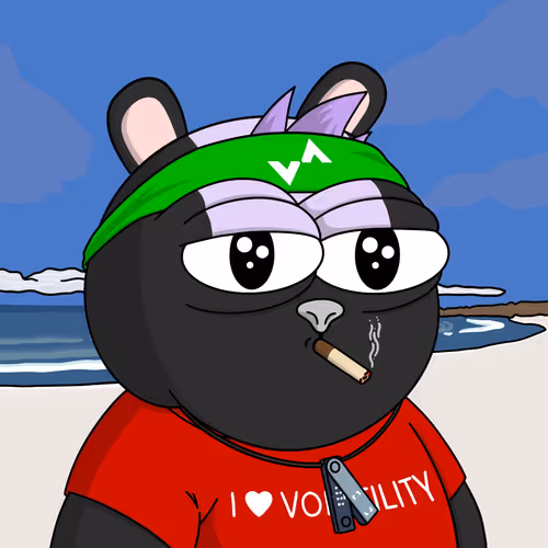 Vol Surfer #2455