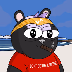 Vol Surfer #2110