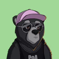 PoA Bears #662