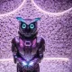 Cyber Owls