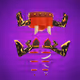 Pacha Set Bottoms