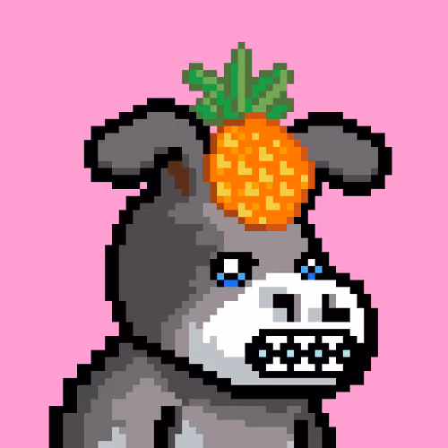 Lost Donkey #2589