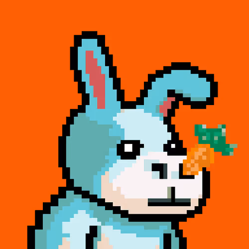 Thelostdonkeys