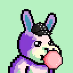 Lost Donkey #2774