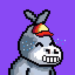 Lost Donkey #66