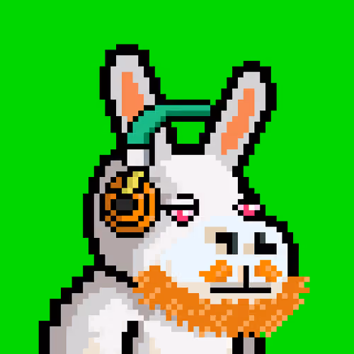 Lost Donkey #4393