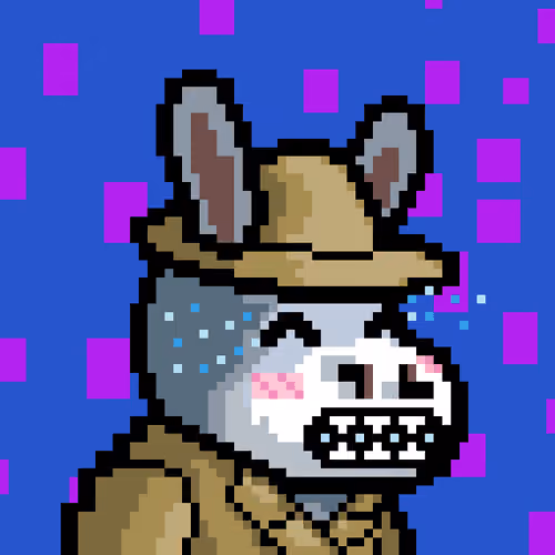 Lost Donkey #1647