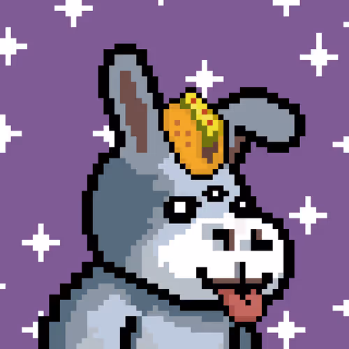 Thelostdonkeys