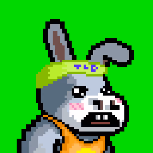 Lost Donkey #146