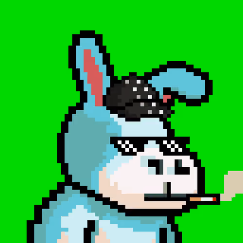 Lost Donkey #2191