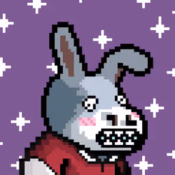Lost Donkey #4744