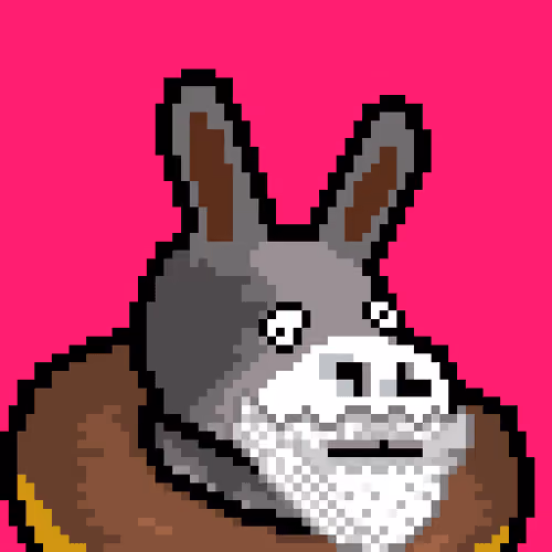 Lost Donkey #1699