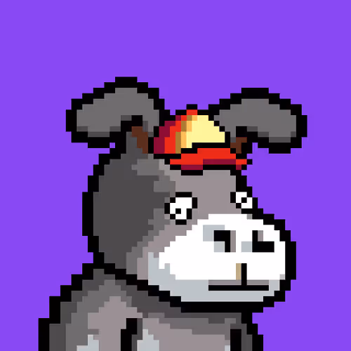 Thelostdonkeys