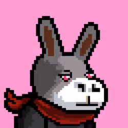 Lost Donkey #2647