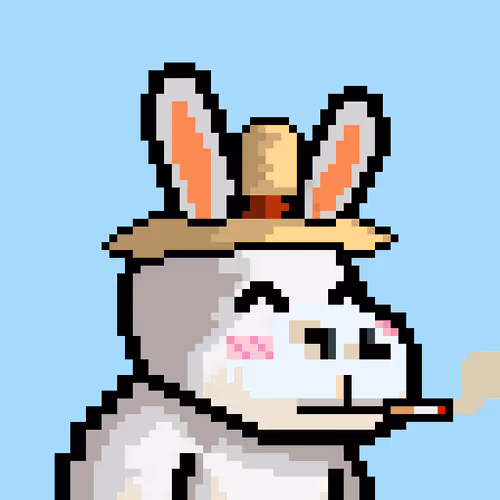Lost Donkey #2582