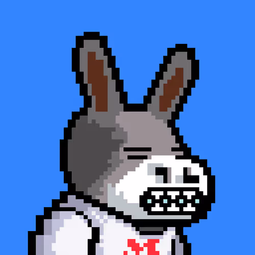 Thelostdonkeys