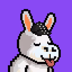 Lost Donkey #4078