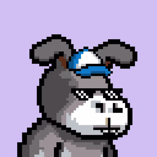 Lost Donkey #463