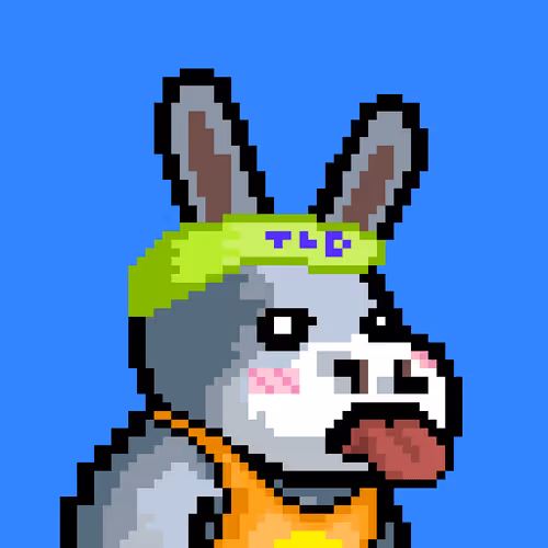 Thelostdonkeys