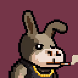 Lost Donkey #1397