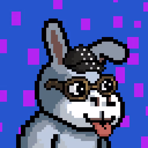 Lost Donkey #1689