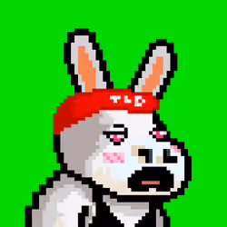 Lost Donkey #4068
