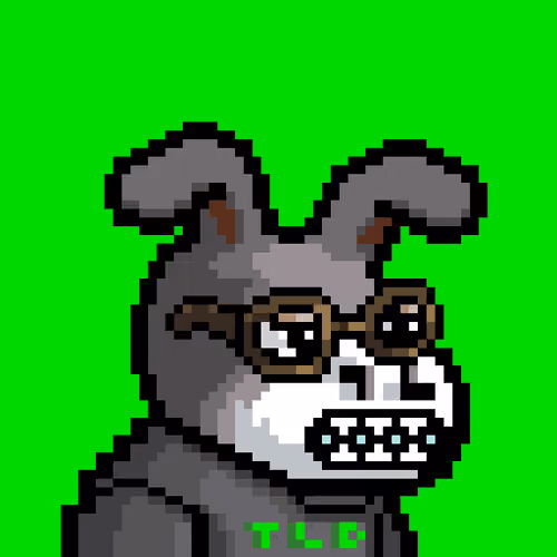 Lost Donkey #4287