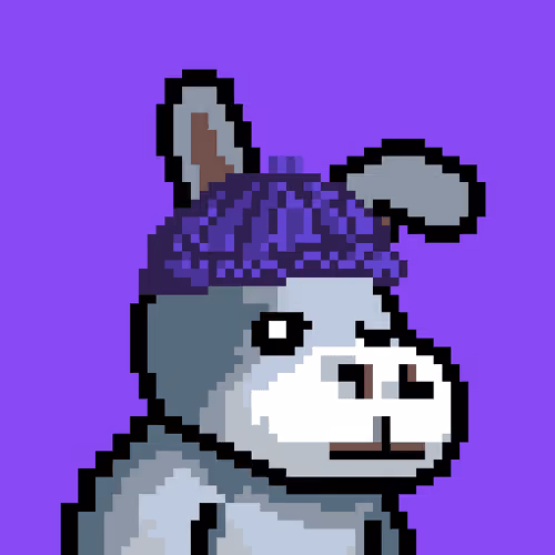 Lost Donkey #1749