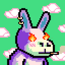 Lost Donkey #2221