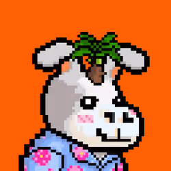 Lost Donkey #2302