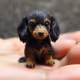 Baby Weiner