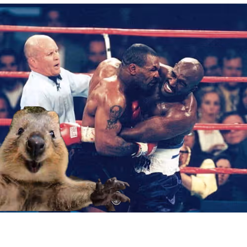 SelfieSteve