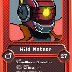 Wild Meteor