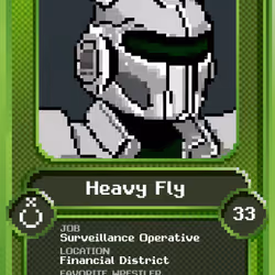 Heavy Fly