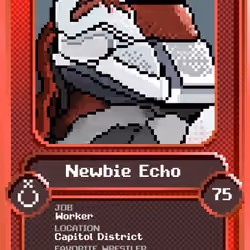 Newbie Echo