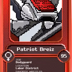Patriot Breiz