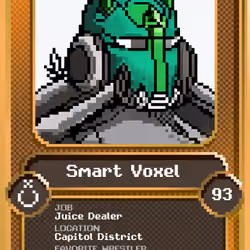 Smart Voxel