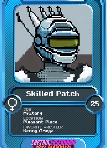 Skilled Patch