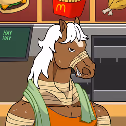 Horse Heads #612