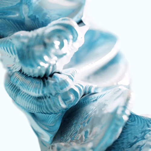 The Soundwaves Collection: Whale Talk