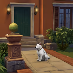 Sim$ pets #272