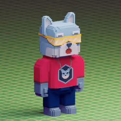 Fluffy Shiba