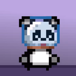 NPC Bera #1536