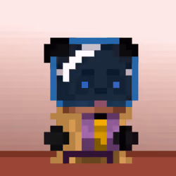 NPC Bera #970