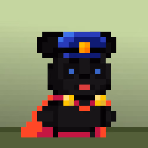 NPC Bera #1250